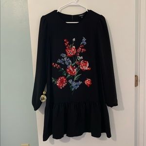 Express long sleeve dress